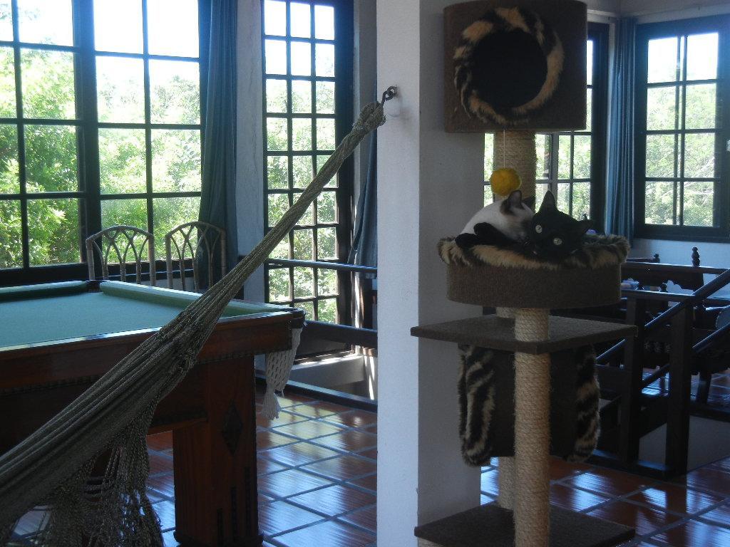 Hotel The Cats' House Florianópolis Esterno foto