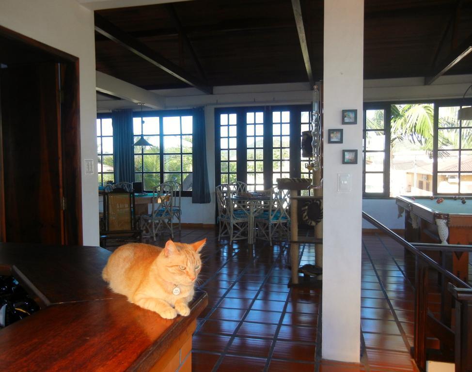 Hotel The Cats' House Florianópolis Esterno foto