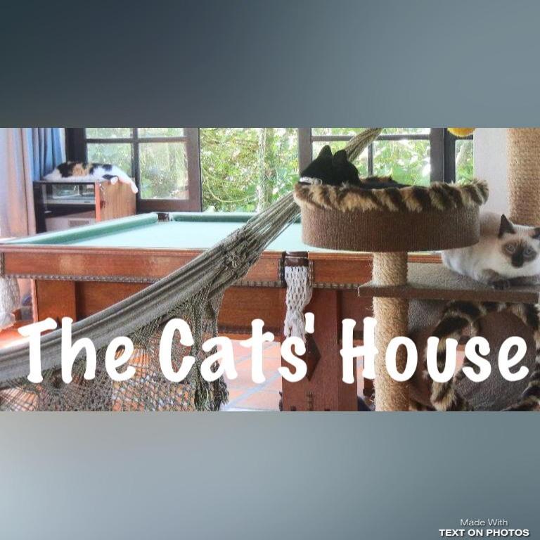 Hotel The Cats' House Florianópolis Esterno foto